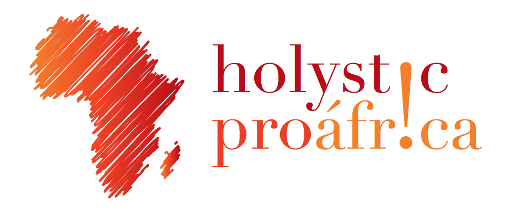 Logo de Holystic Proáfrica